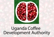 Uganda Coffee Development Authority