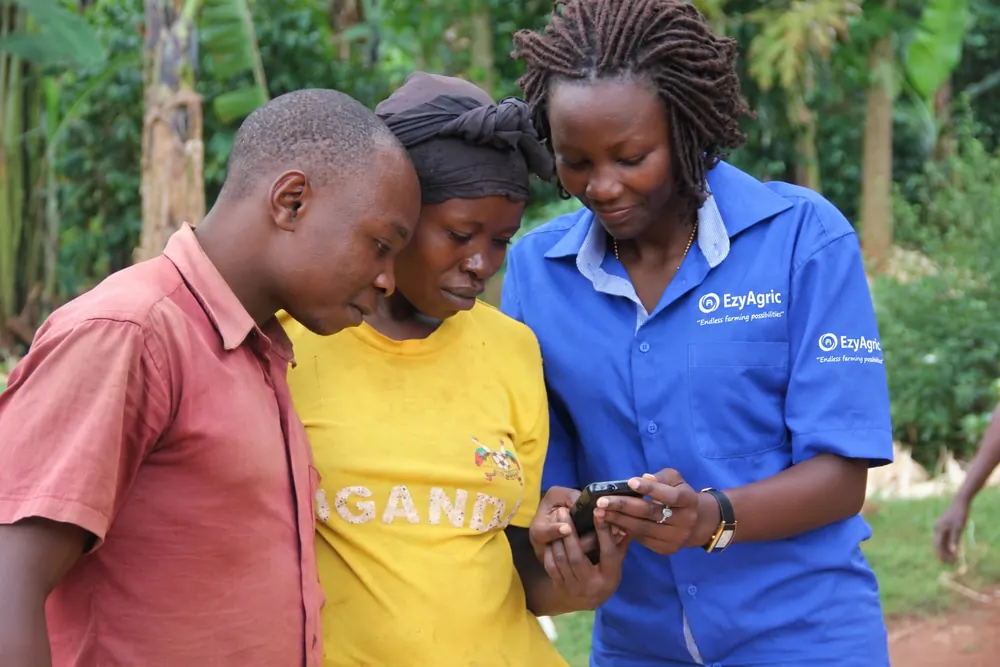 An EzyAgric field agent shows two young farmers something on her phone