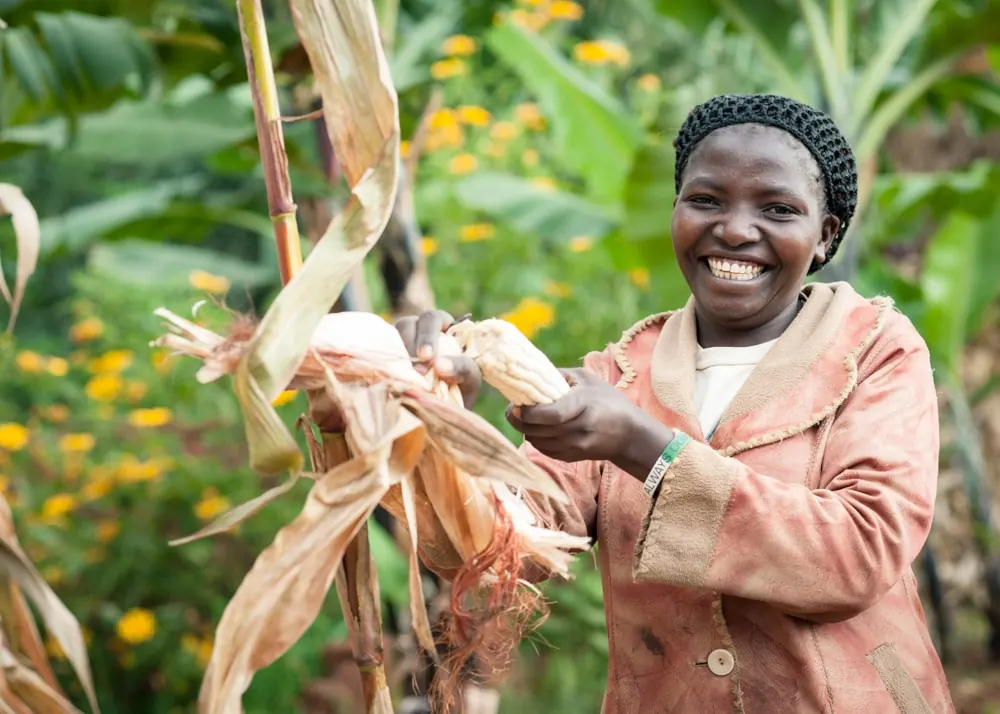 A smiling farmer holds up a maize cob she has just harvested from her garden